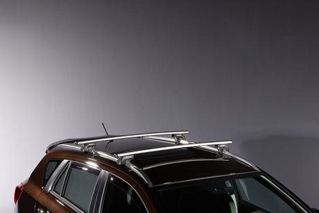 Allesdrager S-Cross (met dakrail)