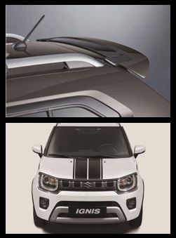 Pakket 2 Striping en spoiler in Grey