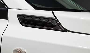 Motorkap ornament mat zwart