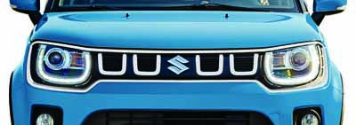 Grille, voorzijde in kleur wit