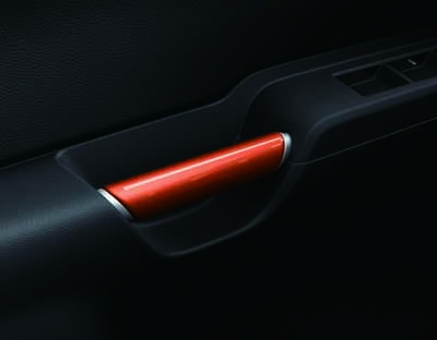 Portiergreep accent voor in kleur oranje